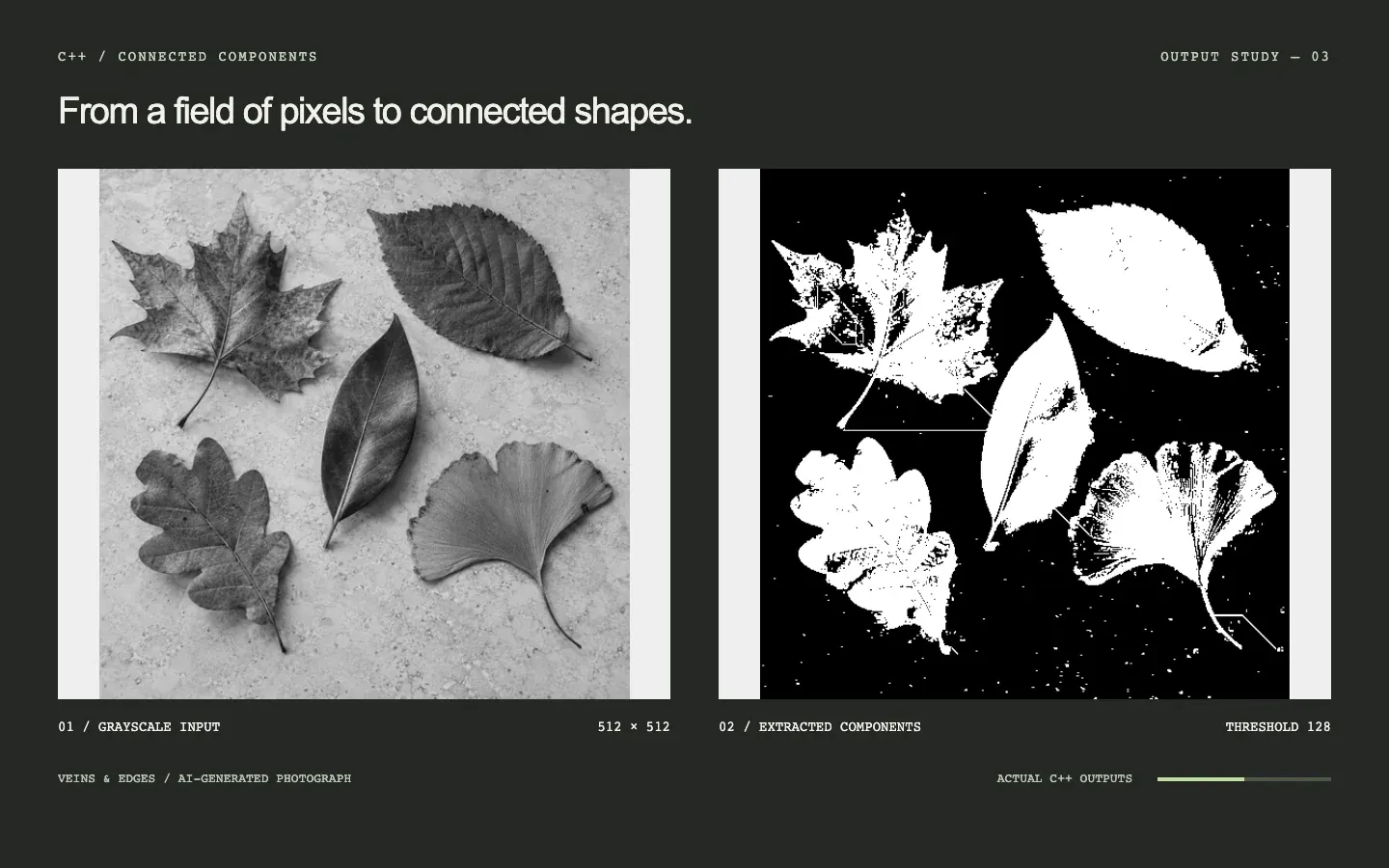 Veins & edges: grayscale photograph on the left, actual C++ segmentation on the right as the threshold rises from 32 to 224.