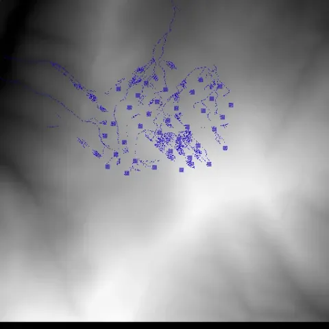 A fresh frame of the Java terrain simulation